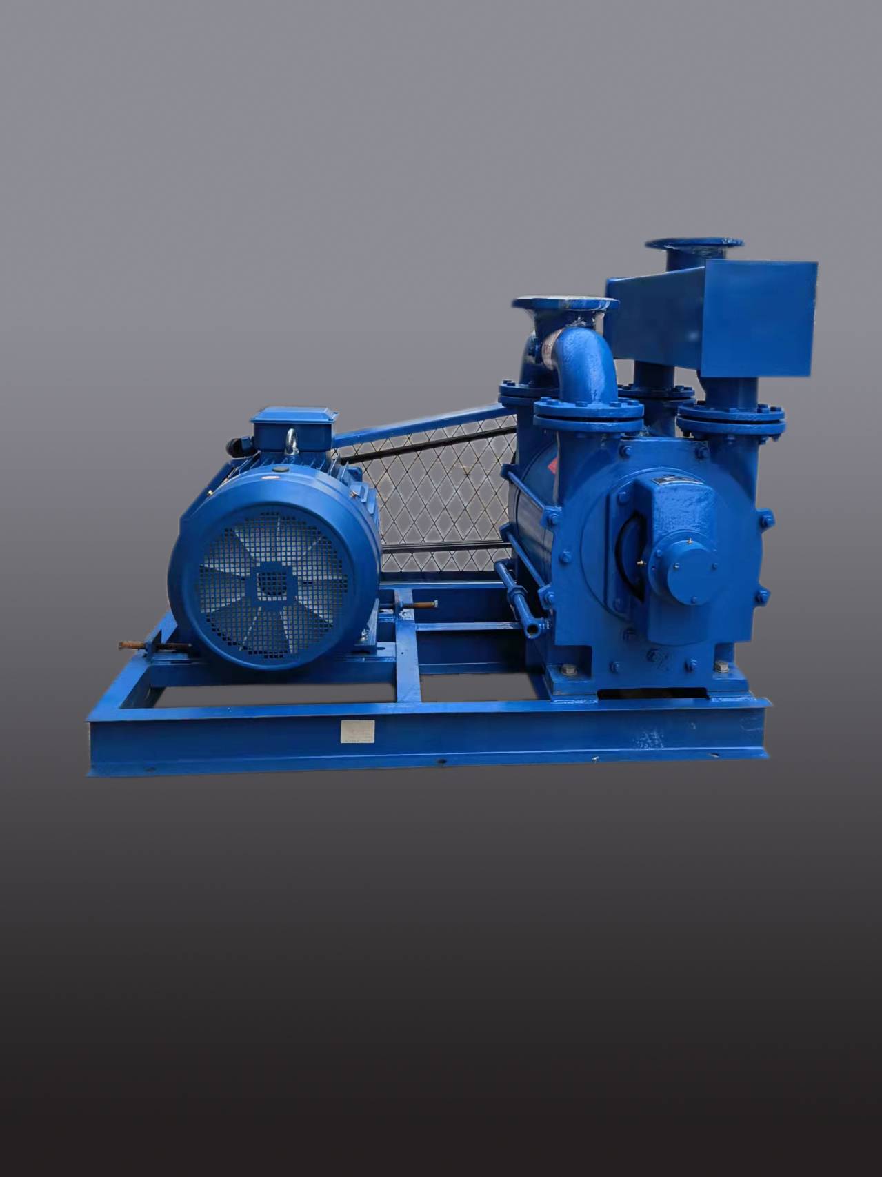 2BE-202水環真空泵